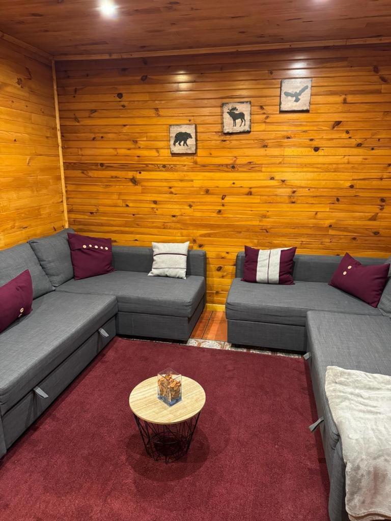 Mountain Lodge T3 Duplex Abrigo Do Lobo Covilhã Kültér fotó